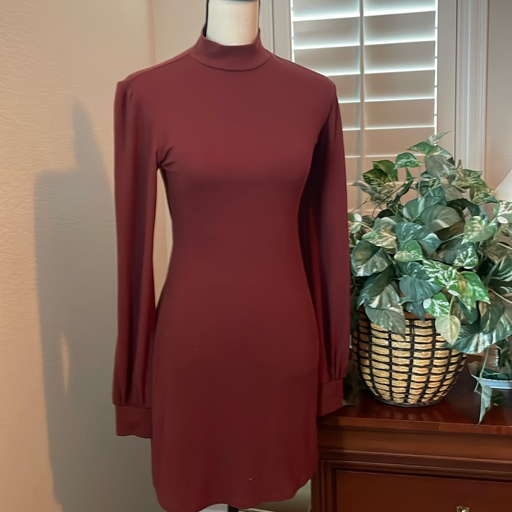 Forever 21 Medium ( fits like a 7/8 ) rust colored long sleeve dress.